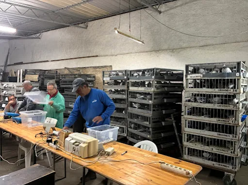 COLUMBÓFILIA – Marco Ferreira vence concurso de BONETE oitava prova da Campanha Desportiva 2026, assumindo mantendo a liderança da classificação geral de concorrentes José Rossa Ribeiro