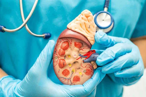 Primeiro transplante renal em Cabo Verde teve mão do Hospital de Santo António