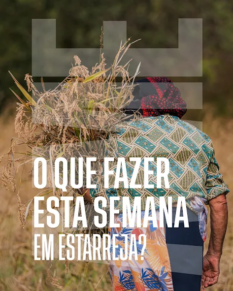 AME Estarreja: o que fazer esta semana?