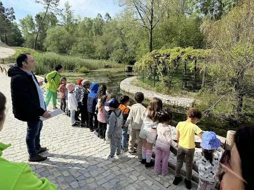 Cantanhede | Alunos do pré-escolar e secundário visitaram Central de Olhos da Fervença. Aula aberta dá a conhecer origem da água no concelho de Cantanhede