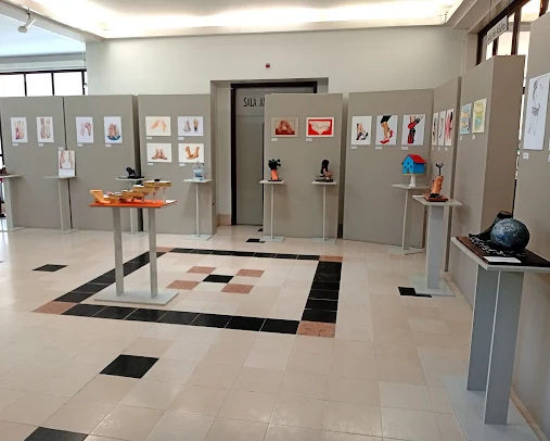 Cantanhede | Trabalhos da autoria de alunos da Escola Secundária Lima-de-Faria Exposição “Pés, para que vos quero…?” patente na Biblioteca Municipal
