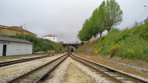 Troço da Linha do Vouga entre Águeda e Aveiro vai ser reabilitado. Obra foi adjudicada pela Infraestruturas de Portugal, arranca, previsivelmente, em agosto e terá duração de 425 dias
