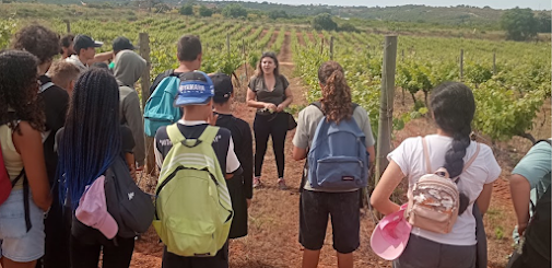 ALUNOS DE SILVES DESCOBREM AS ESTÓRIAS POR TRÁS DAS UVAS