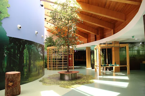 Proença‑a‑Nova | Conferência “Floresta, Risco e Valor” reúne especialistas no CCVFloresta