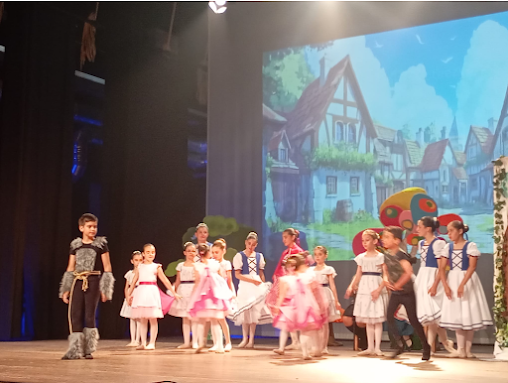 Cantanhede | SECÇÃO DE BALLET PROMOVEU SARAU DE ENCERRAMENTO