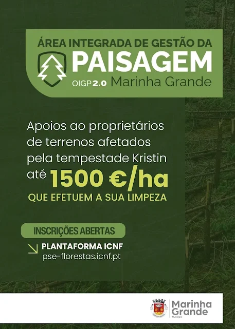 Marinha Grande | APOIOS PARA PROPRIETÁRIOS DE TERRENOS FLORESTAIS | Candidaturas até 30 de junho de 2026