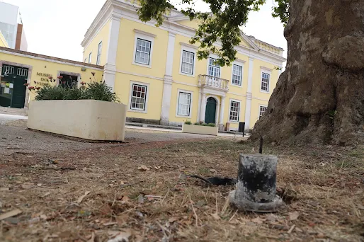 Marinha Grande | MUNICÍPIO CONDENA ATOS DE VANDALISMO CONTRA O PATRIMÓNIO PÚBLICO NO CENTRO DA MARINHA GRANDE