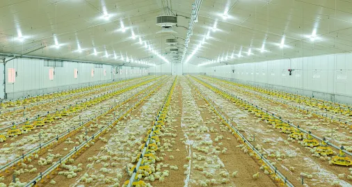 Proença-a-Nova | Lusiaves inaugura nova Quinta em São Pedro do Esteval