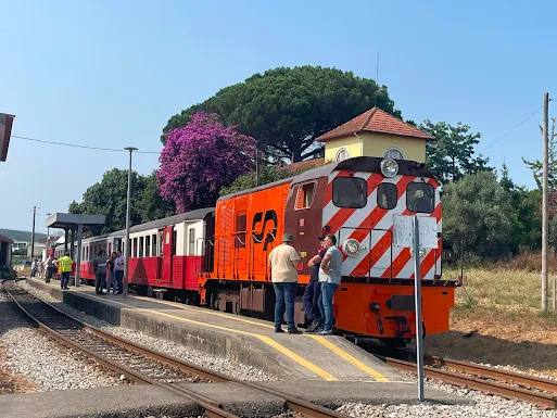 Município de Águeda proporciona viagem pela tradição e sabores da região, no âmbito do Comboio Histórico do Vouga