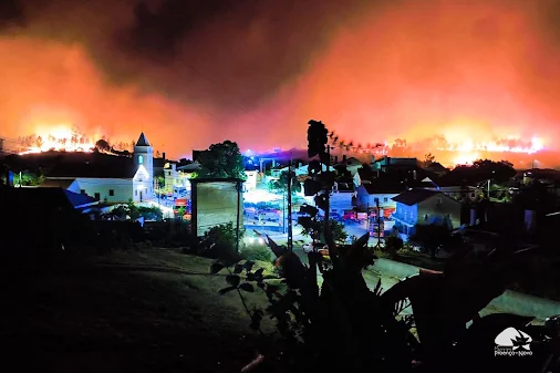 Proença‑a‑Nova | Ponto de Situação: Incêndio sem registo de feridos ou casas atingidas